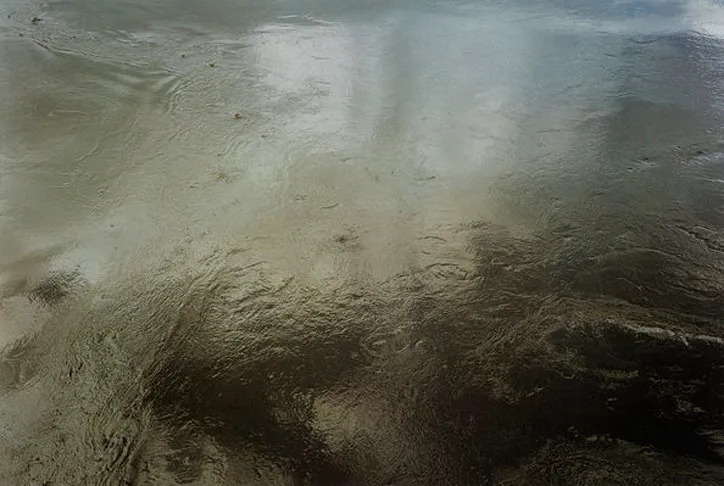 Roni Horn