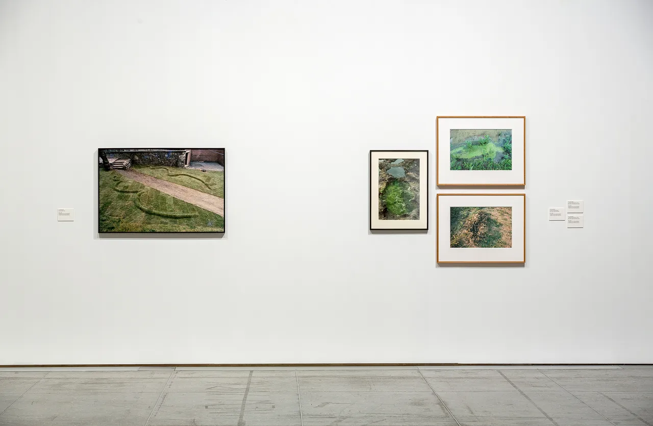 Ana-Mendieta_11