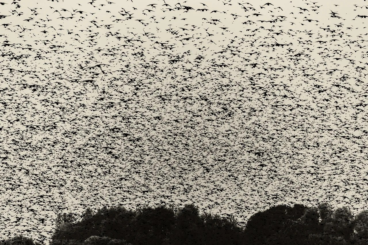 Sorensolkaer Metalmagazine 18