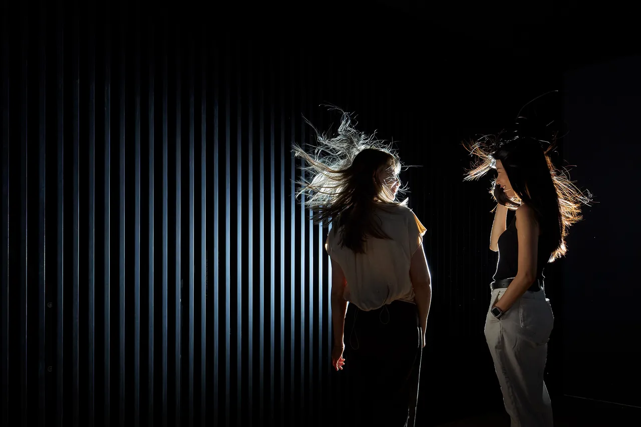 Dream-Rooms_installation-view_1