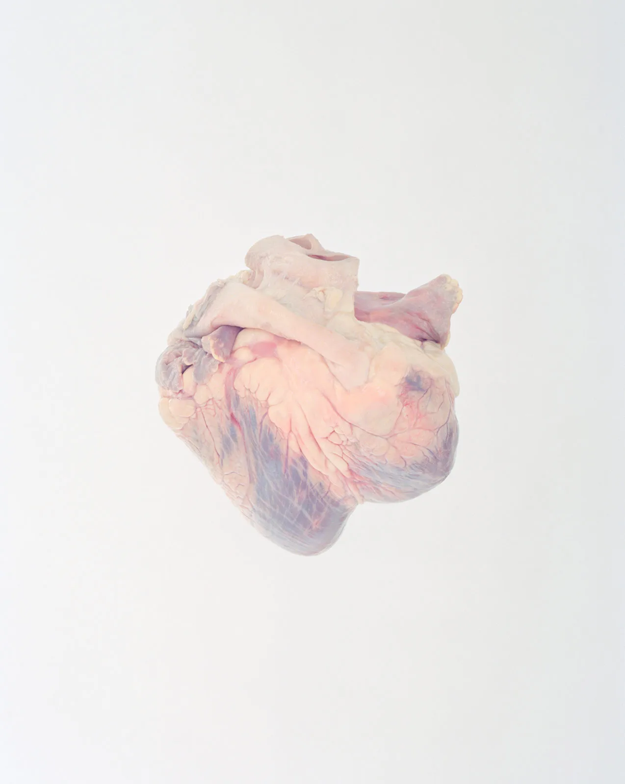 Ward Roberts Metalmagazine 20