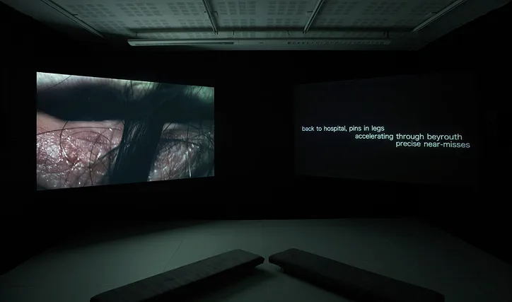 Transmediale & CTM