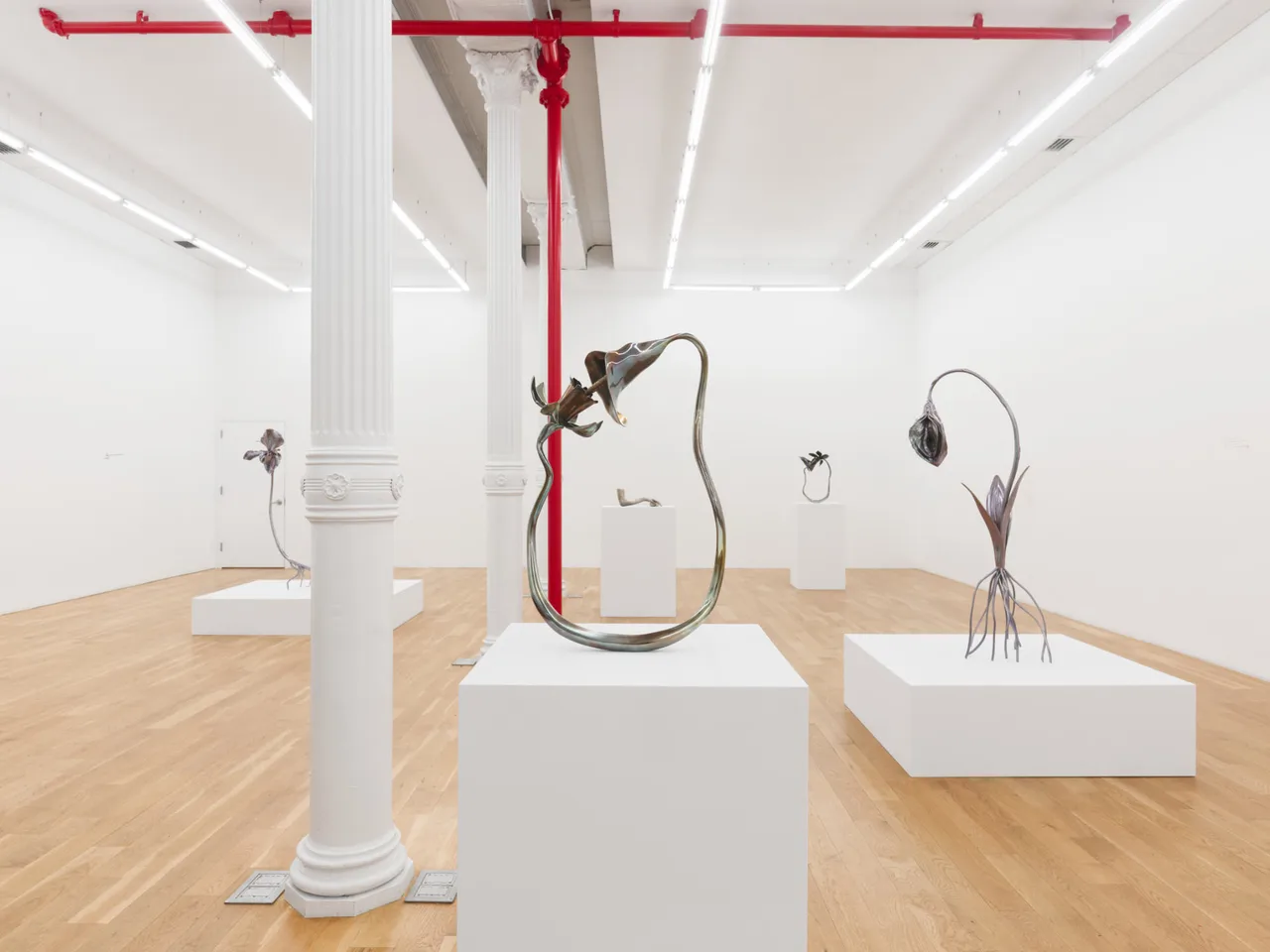 Alien Spring - Install View 16
