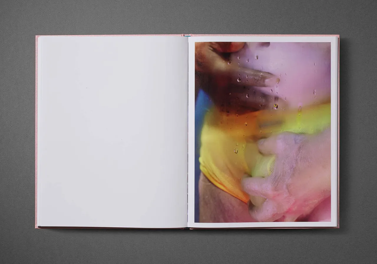 Marilyn Minter 2