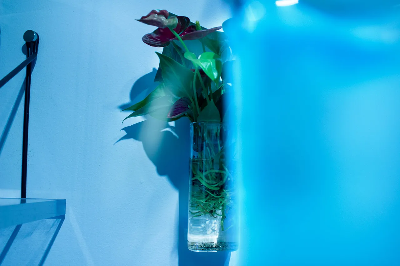 Orquideadracula Metalmagazine 8.jpg