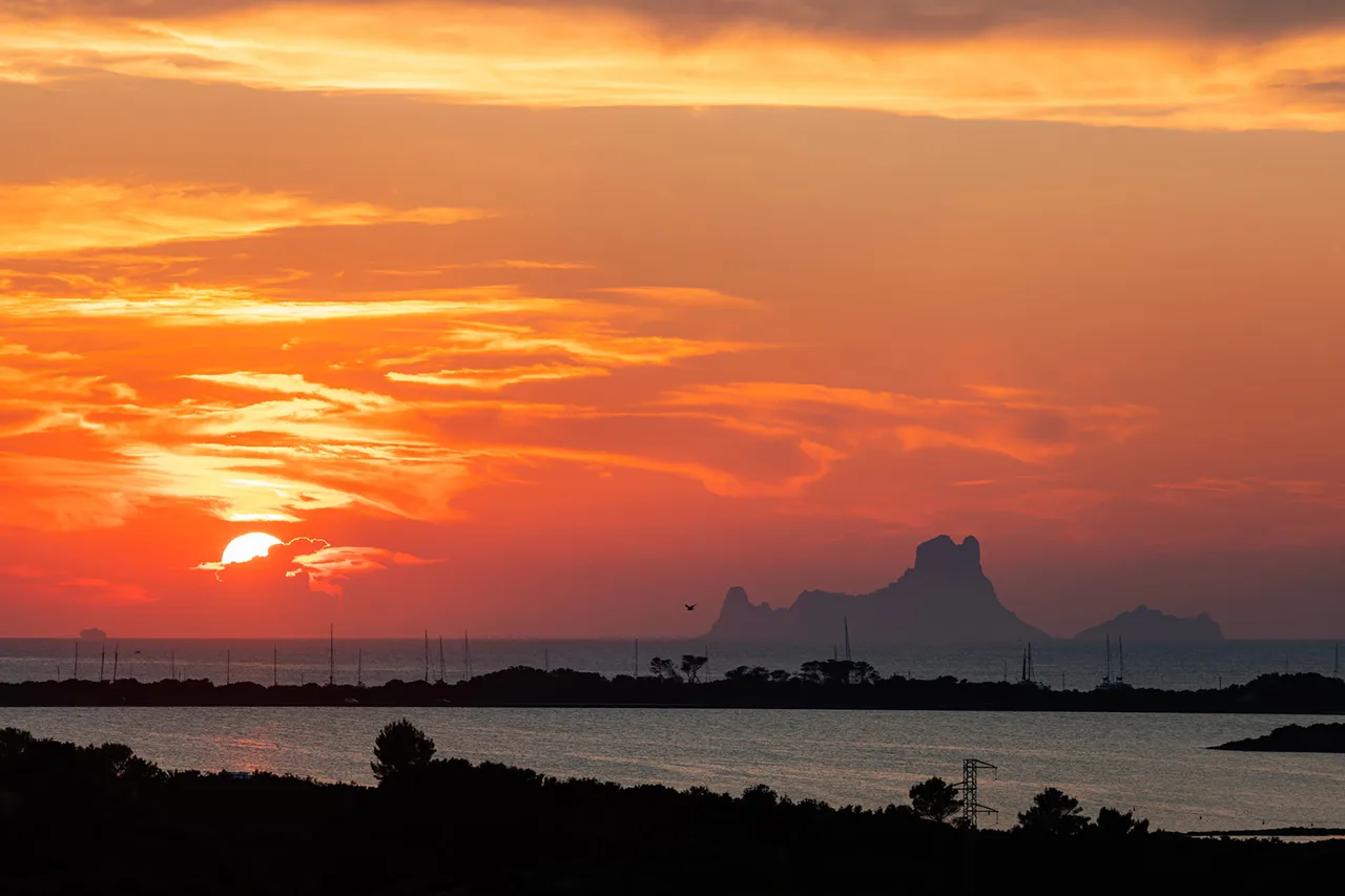 Five Flowers Formentera 24