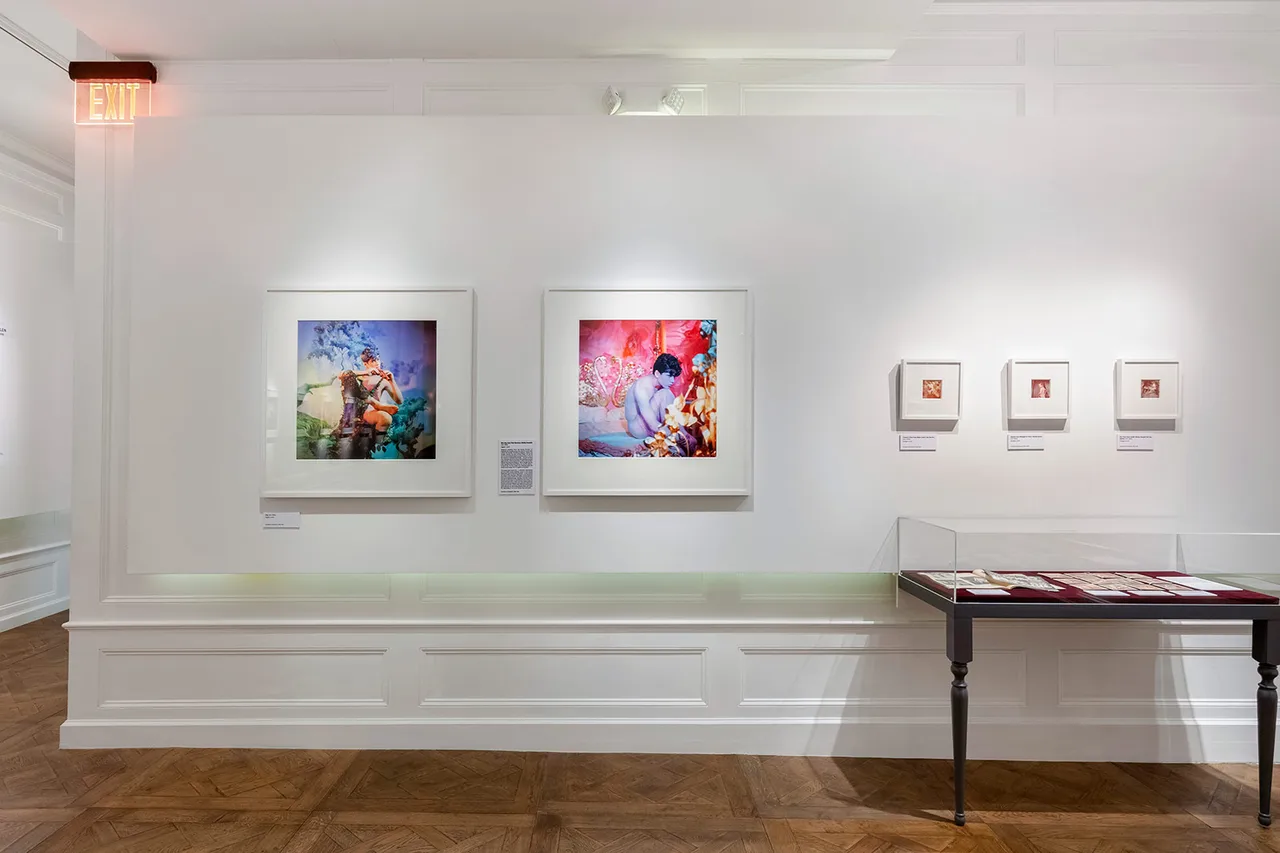 James Bidgood Museum of Sex 003