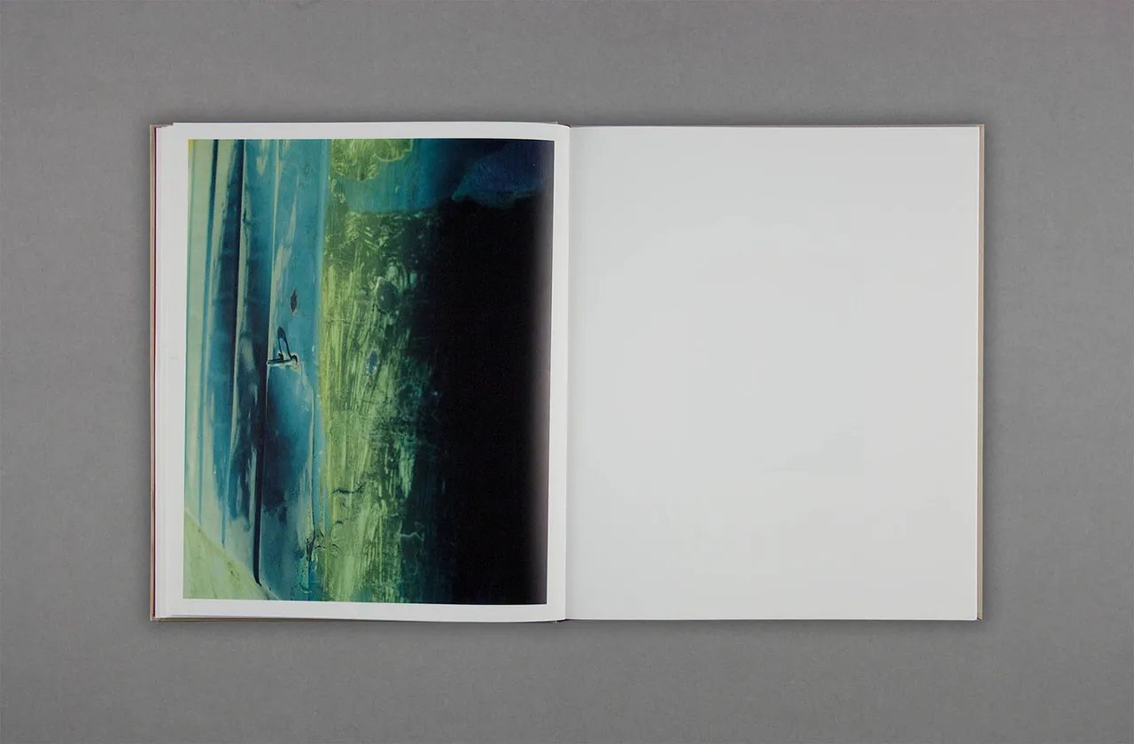 Harley Weir Paintings 6