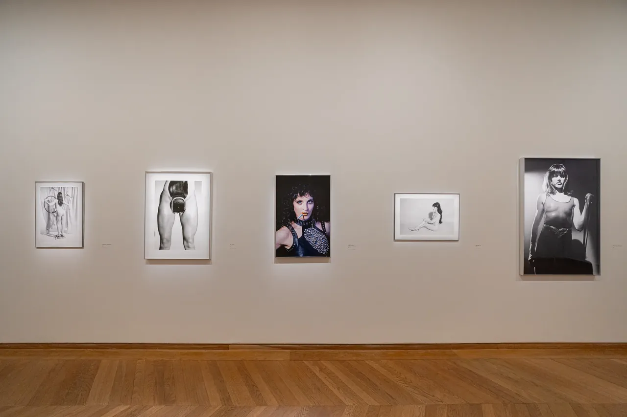 metal-camille-vivier-exhibition-12