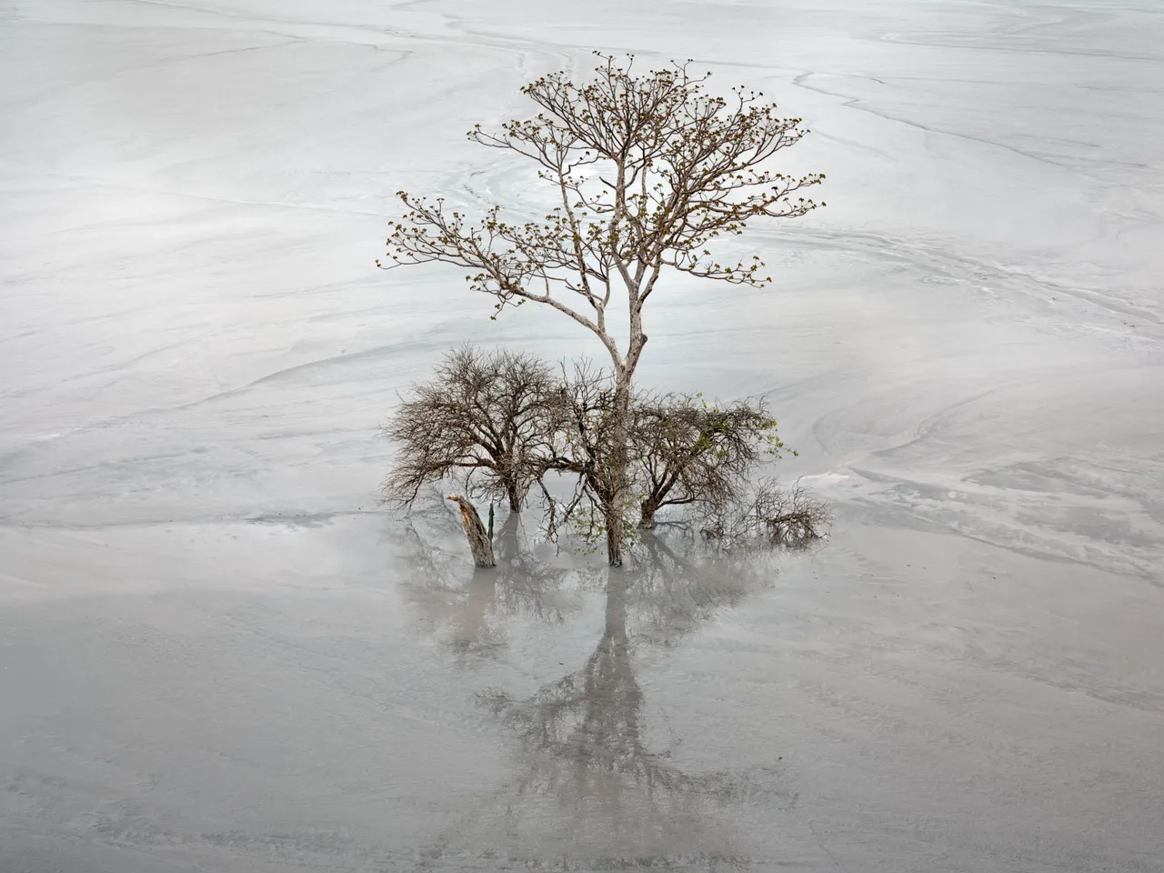 Edward-Burtynsky_1