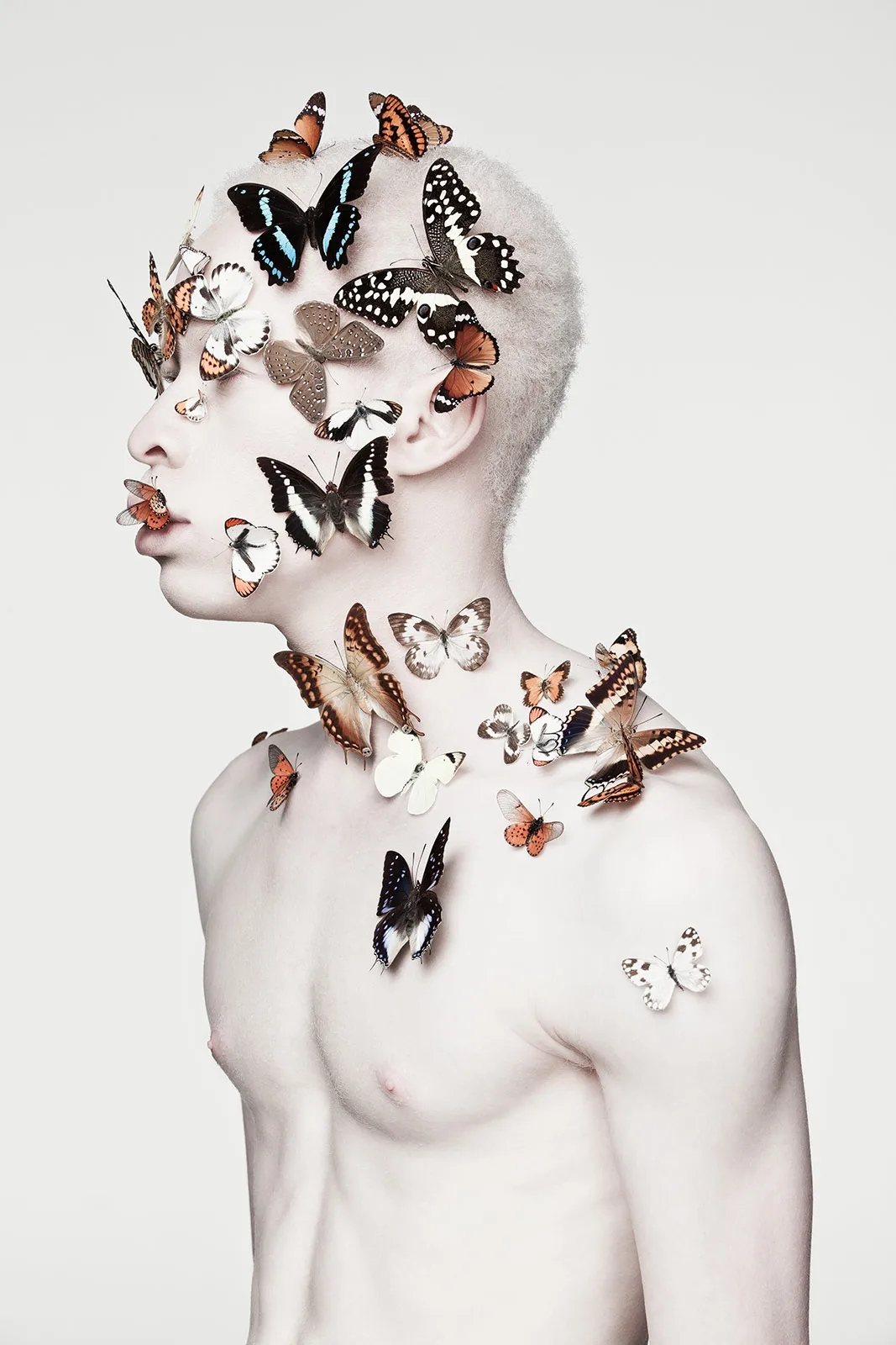 Adorned   the Fashionable Show Metalmagazine 4