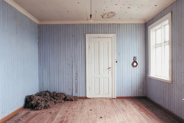 Roni Horn