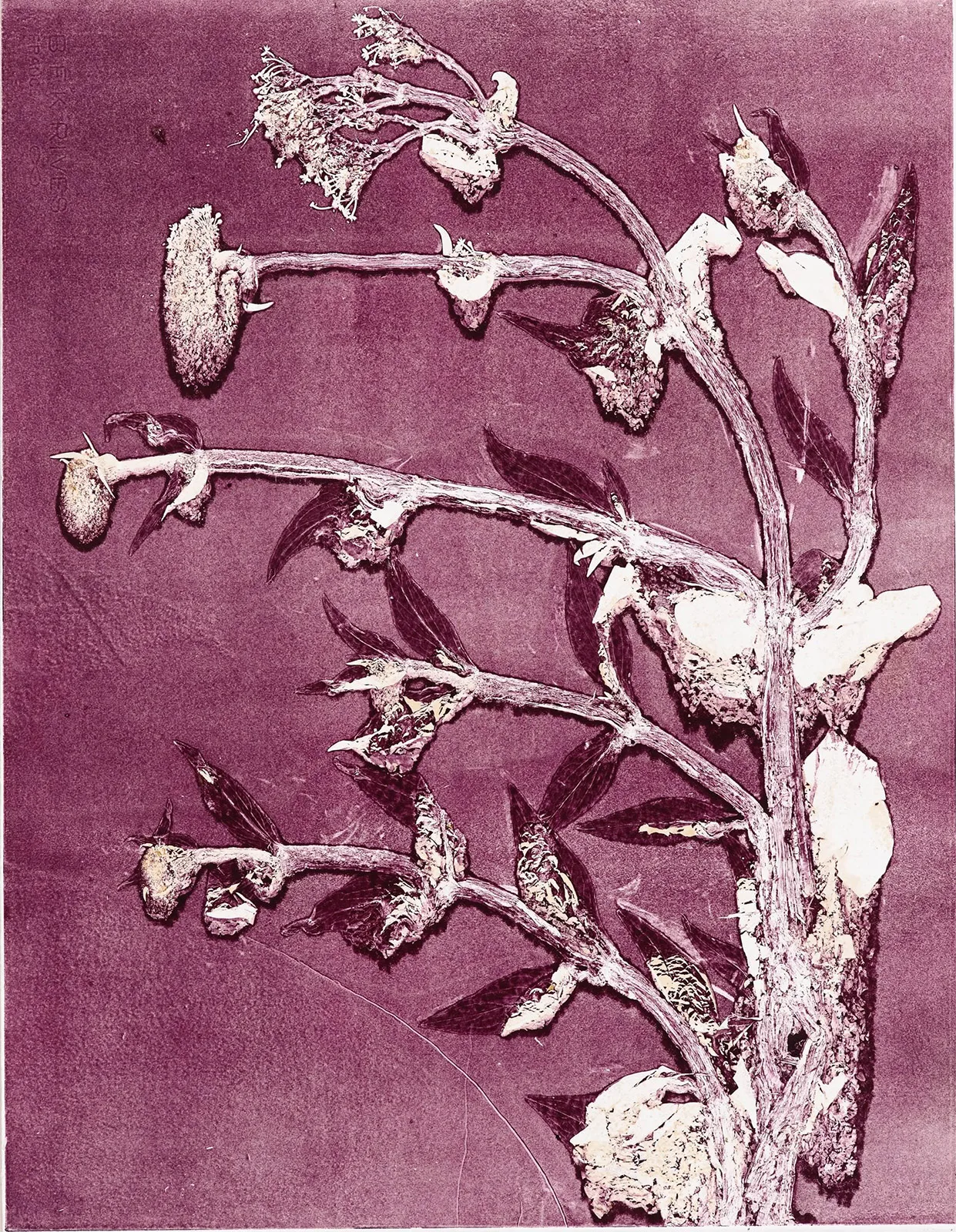 The Role of a Flower 6