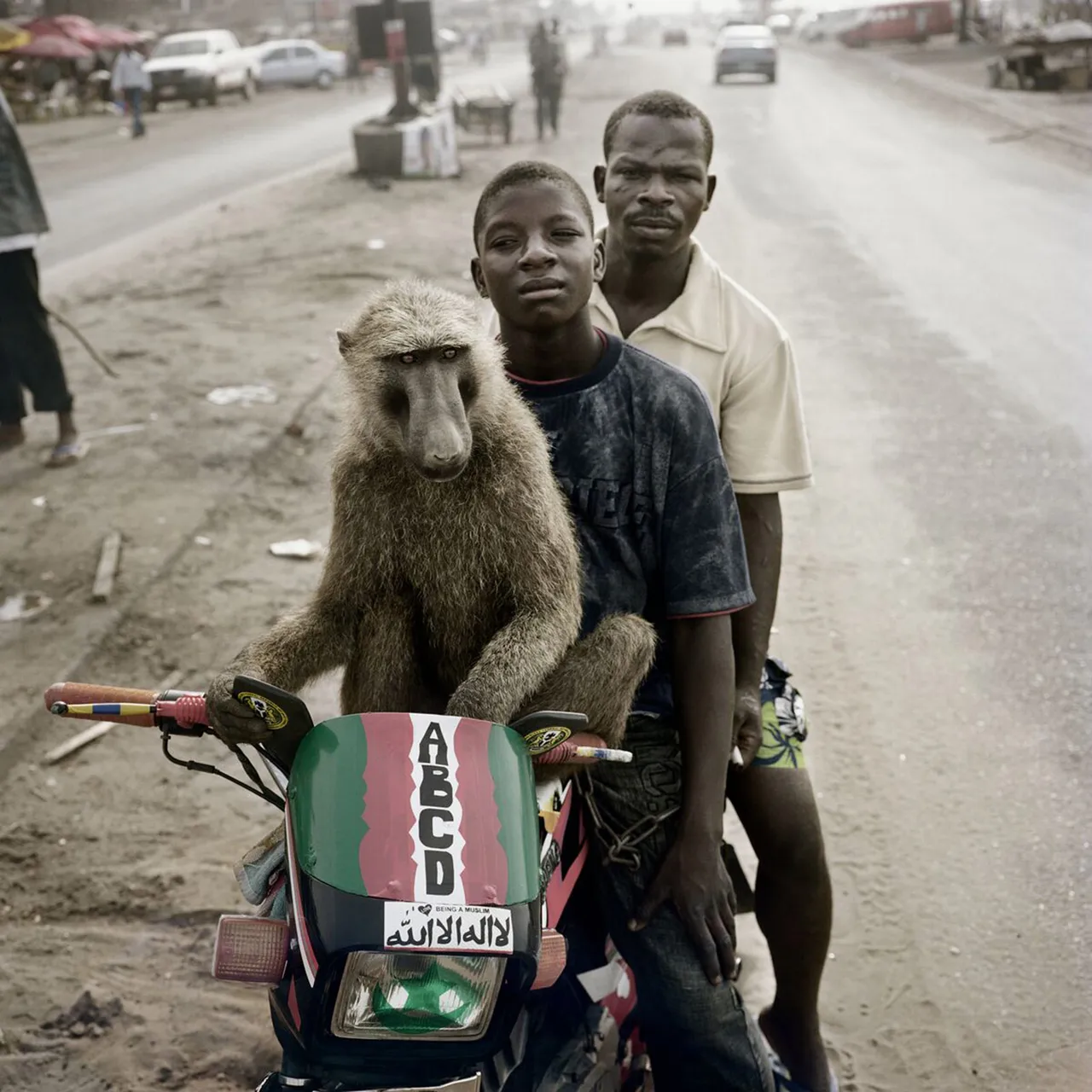 Pieter Hugo Museu Col Berardo Metalmagazine 9