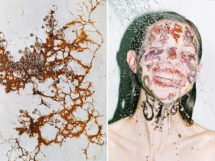 Synchrodogs