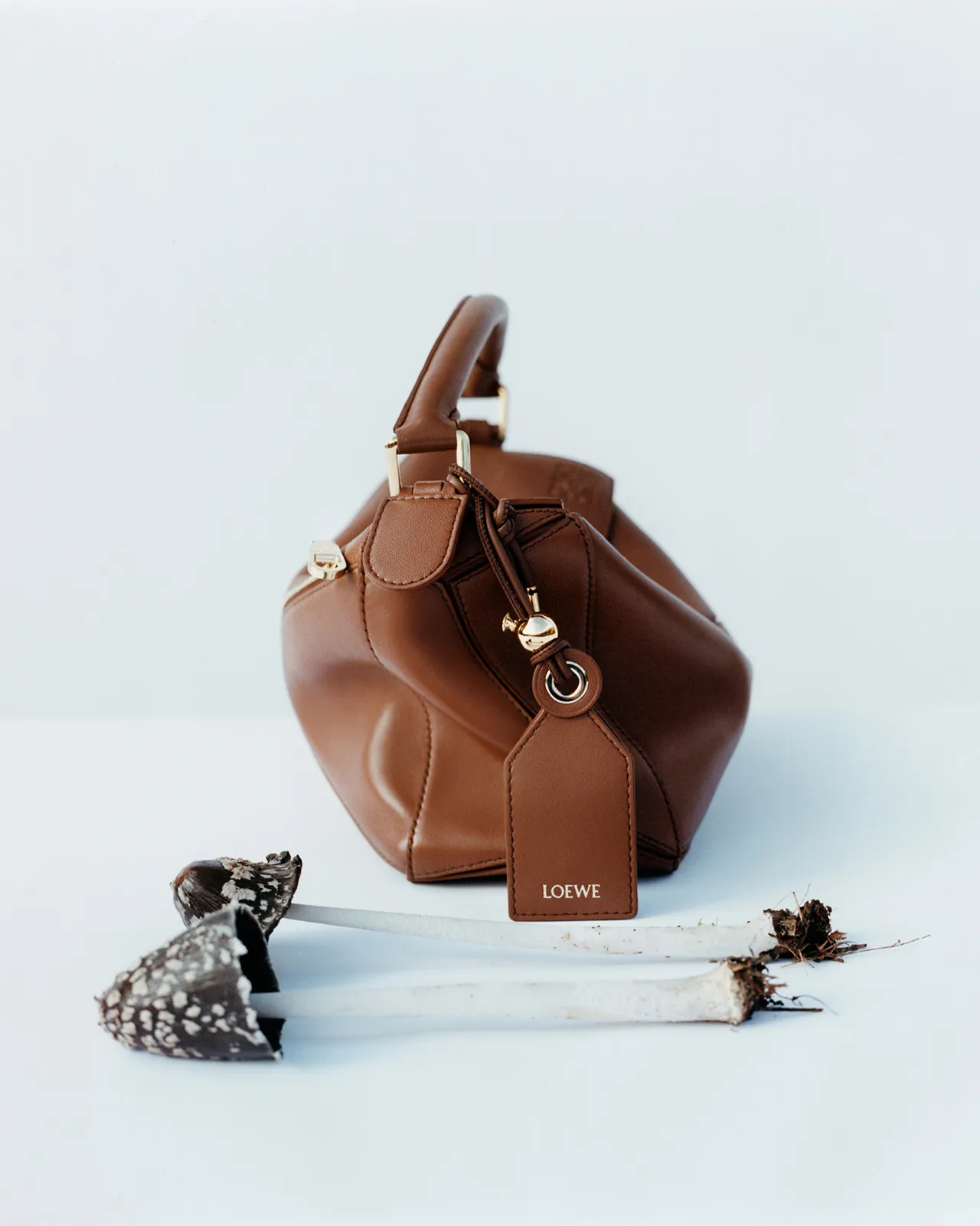 Loewe_Featherlight_Puzzle_2