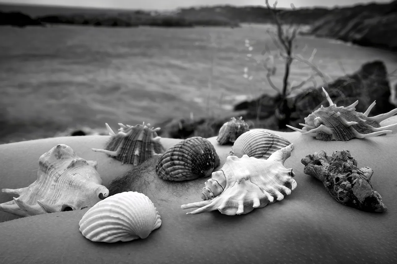 ©-Joan-Fontcuberta,-Residencia-artistica-InCadaqués,-La-Persistència-de-la-carn,-2024