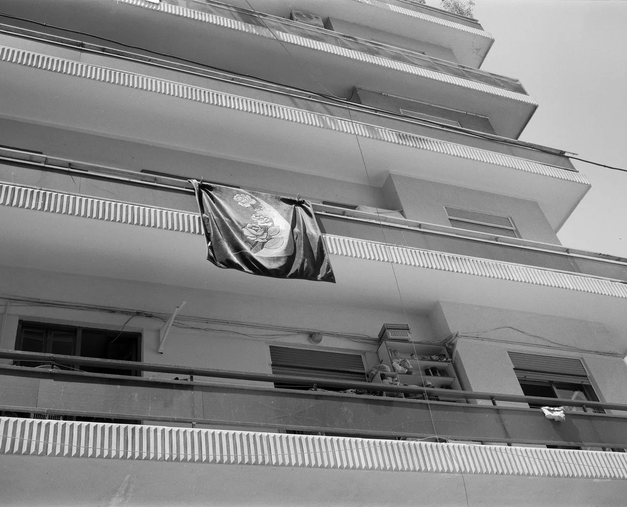 Pictures for Palestine 25