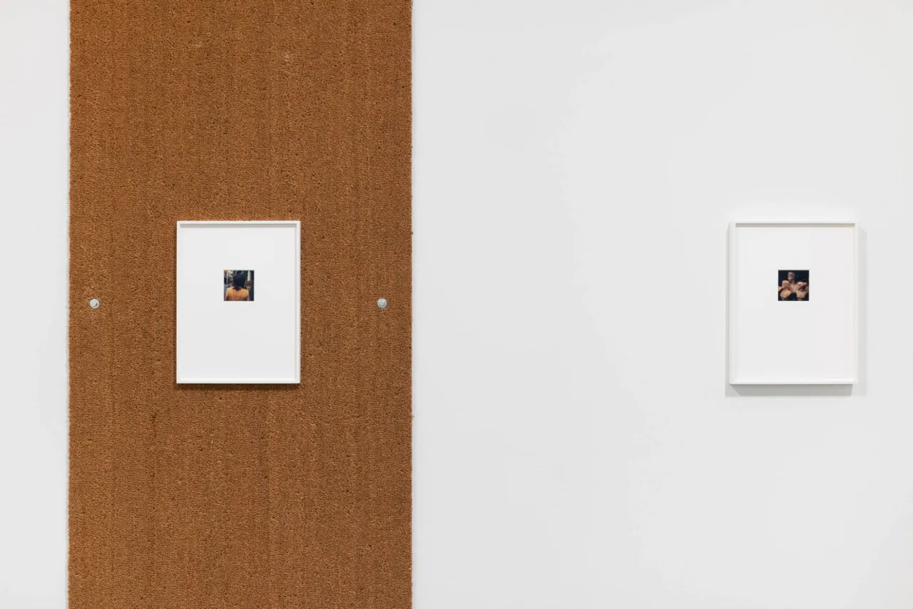 Centro Pecci Prato_ Luigi Ghirri-Polaroid 79-83_ ph Andrea Rossetti_06