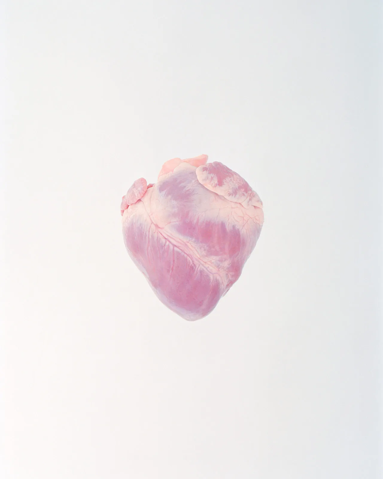 Ward Roberts Metalmagazine 4