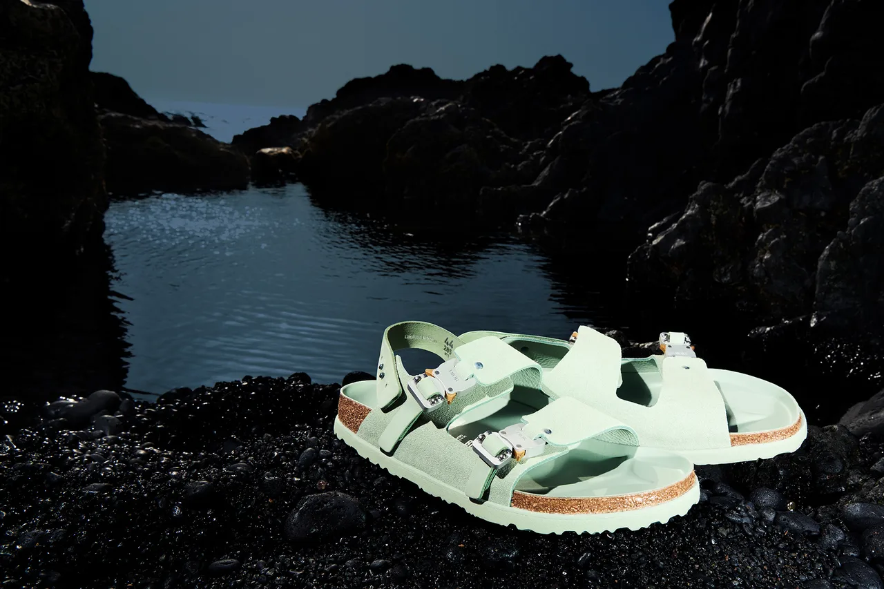 Dior X Birkenstock 9