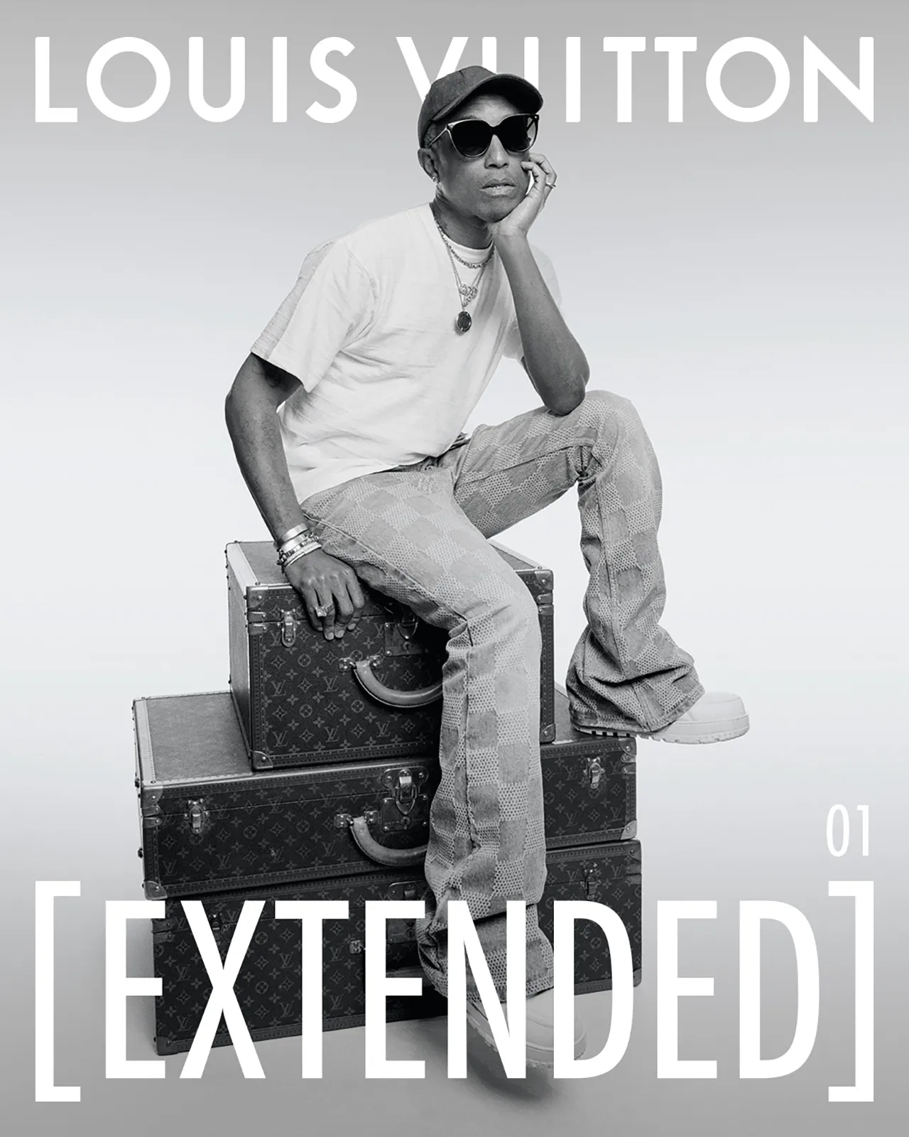 Louis Vuitton Extended 1
