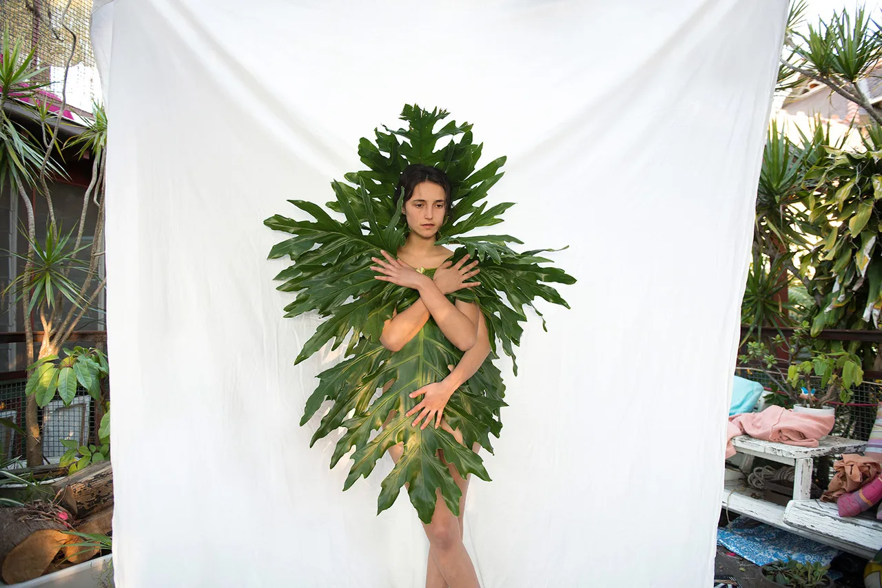 Prue Stent Honey Long Venus Fly Trap
