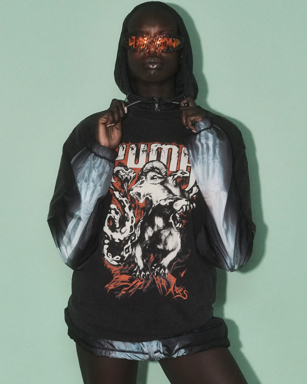 Puma x Aries