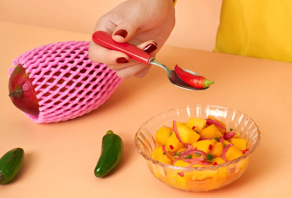 Foodzine