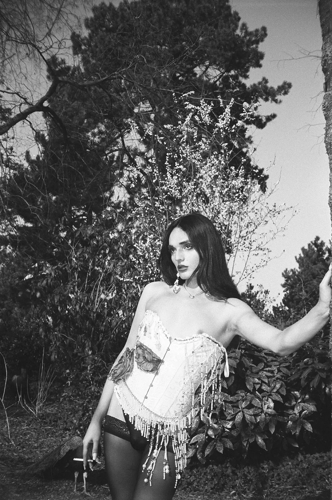 Volubilis Habibi Metalmagazine 4