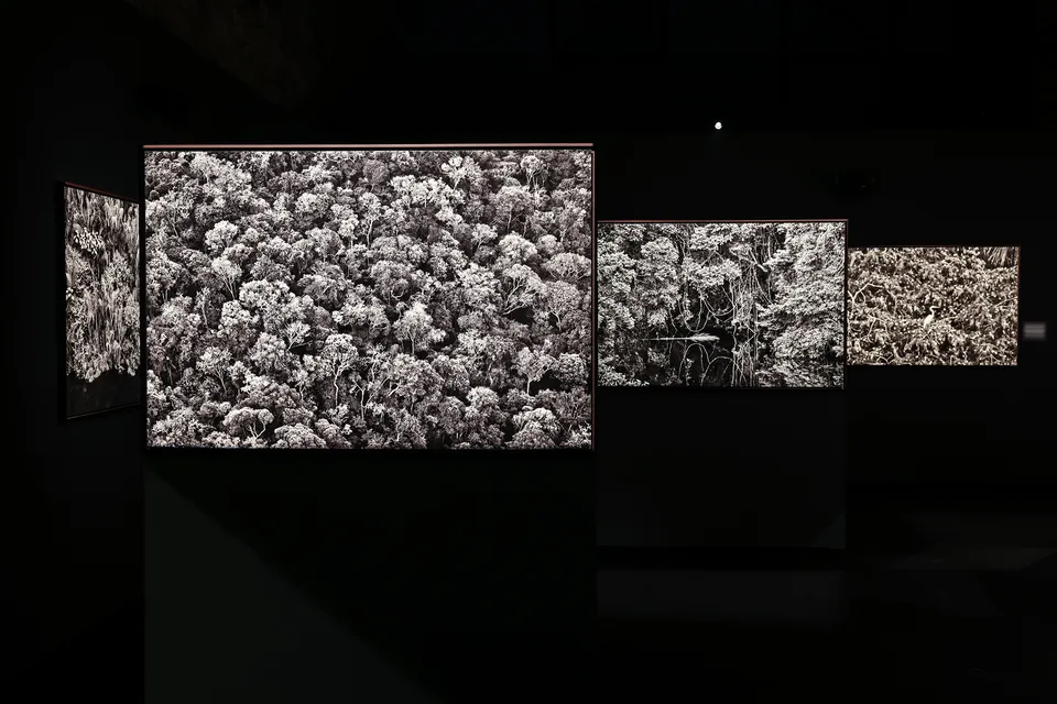Amazônia, de Sebastião Salgado