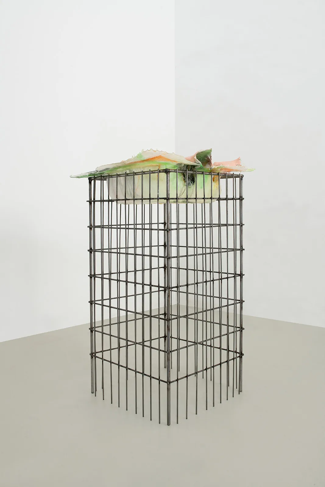 Rebecca Ackroyd 5