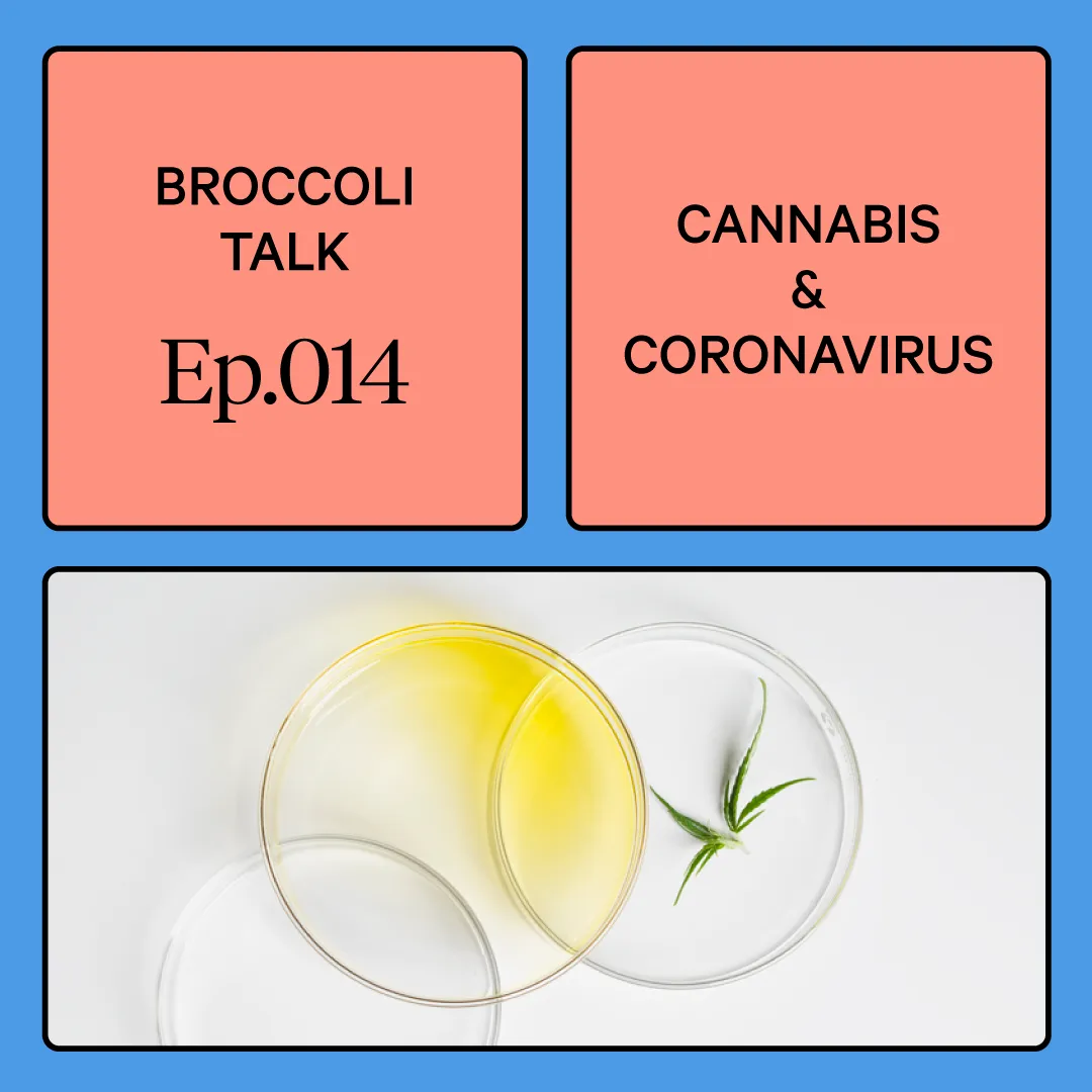 Broccoli Talk