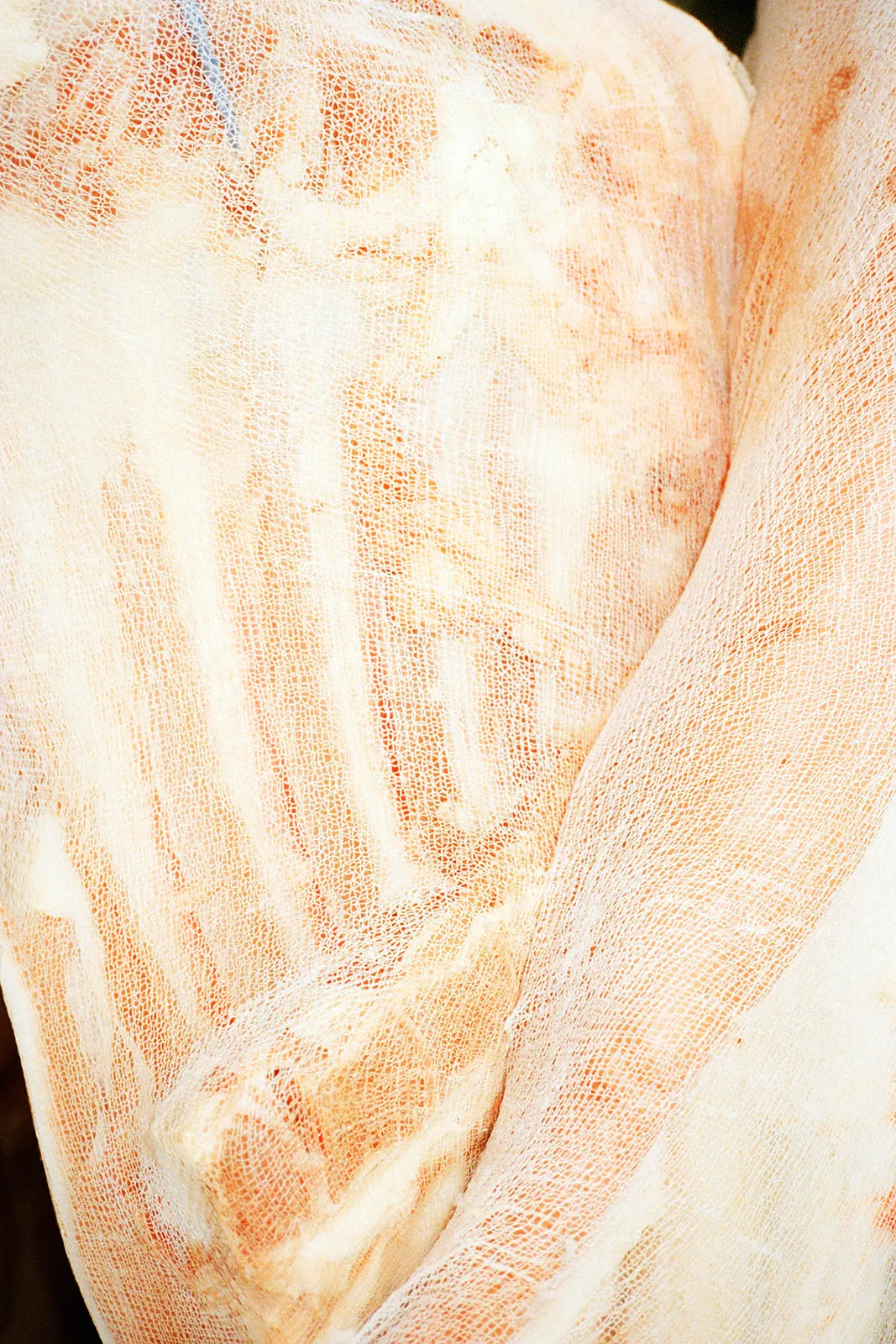 Works Eva Vermandel Meat Paris