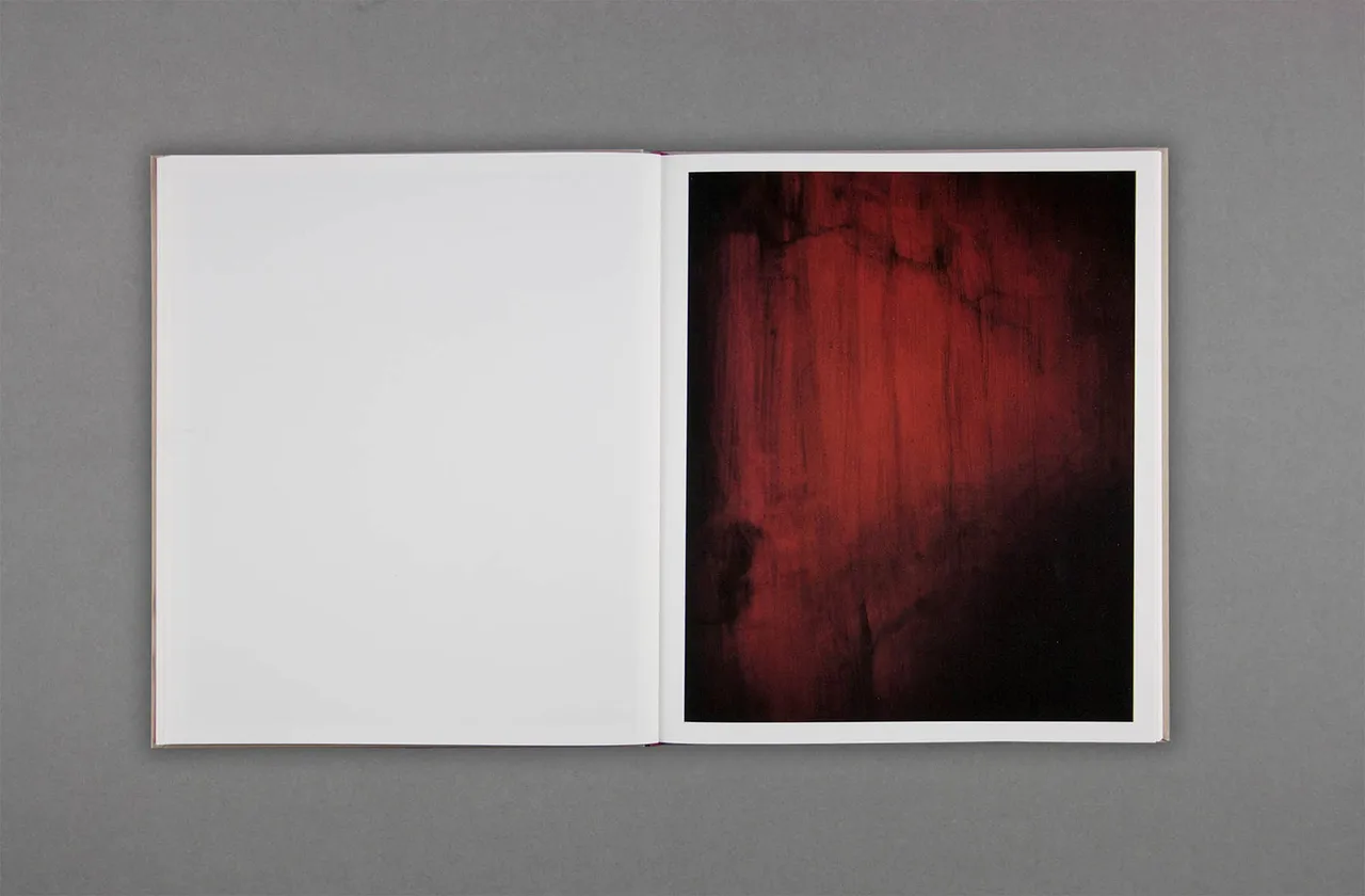 Harley Weir Paintings 9