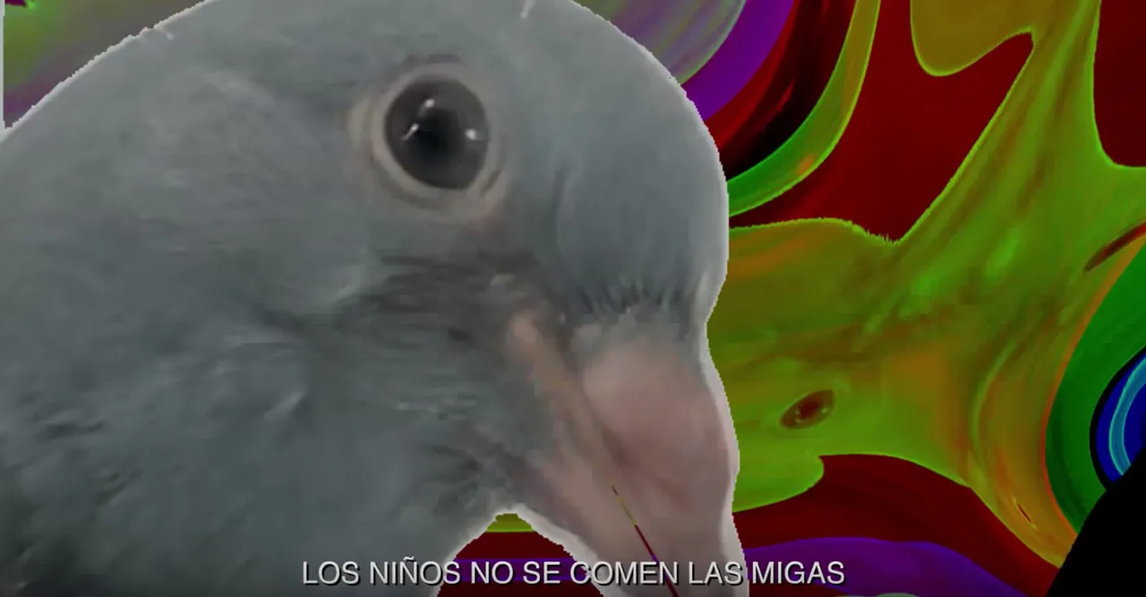 Chraetianflores Metalmagazine 11