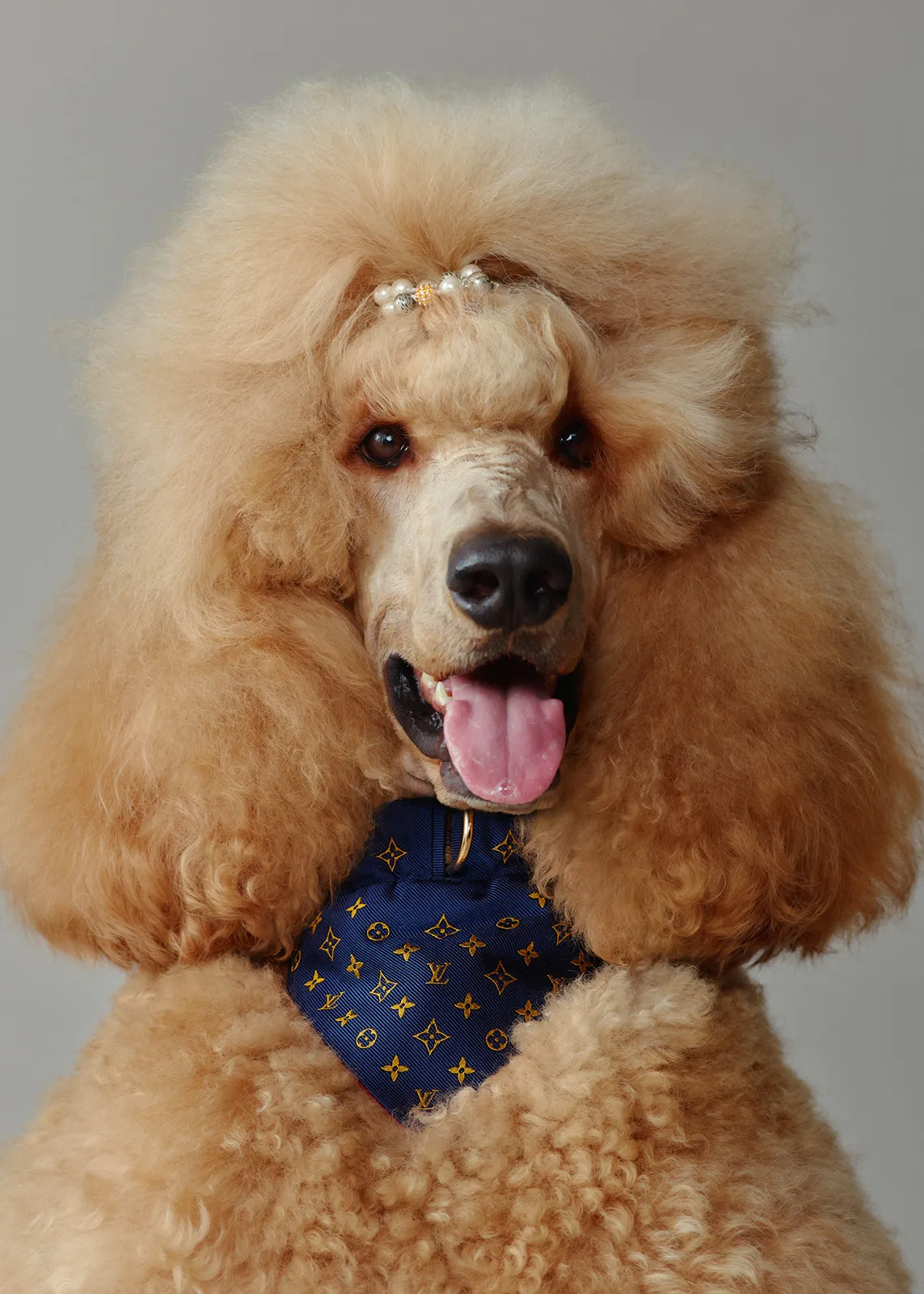 Louis Vuitton S/S 2025 Men’s Pre-Collection