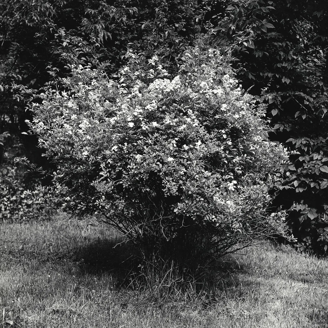 Peter_Hujar_12