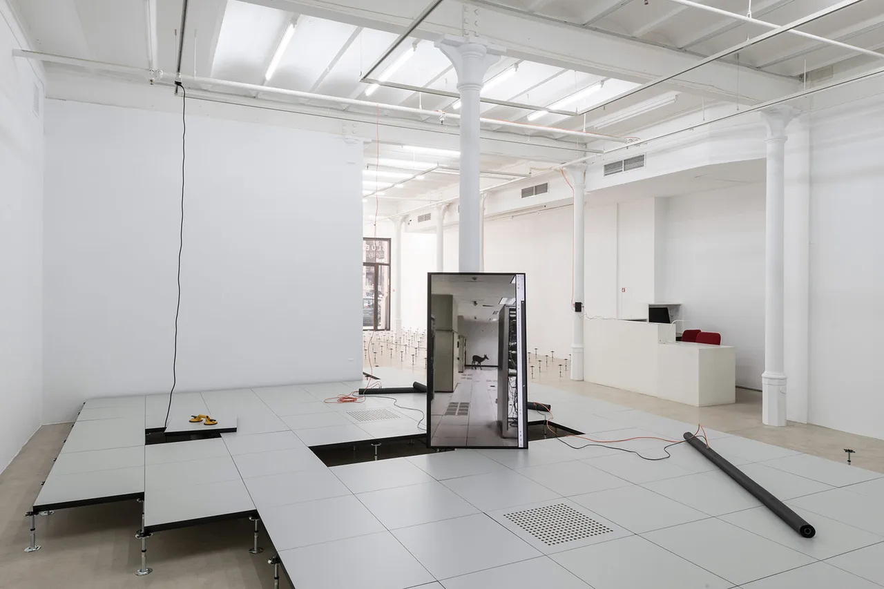 Mariosantamaria  Cortesia Blueproject Foundation Roberto Ruiz