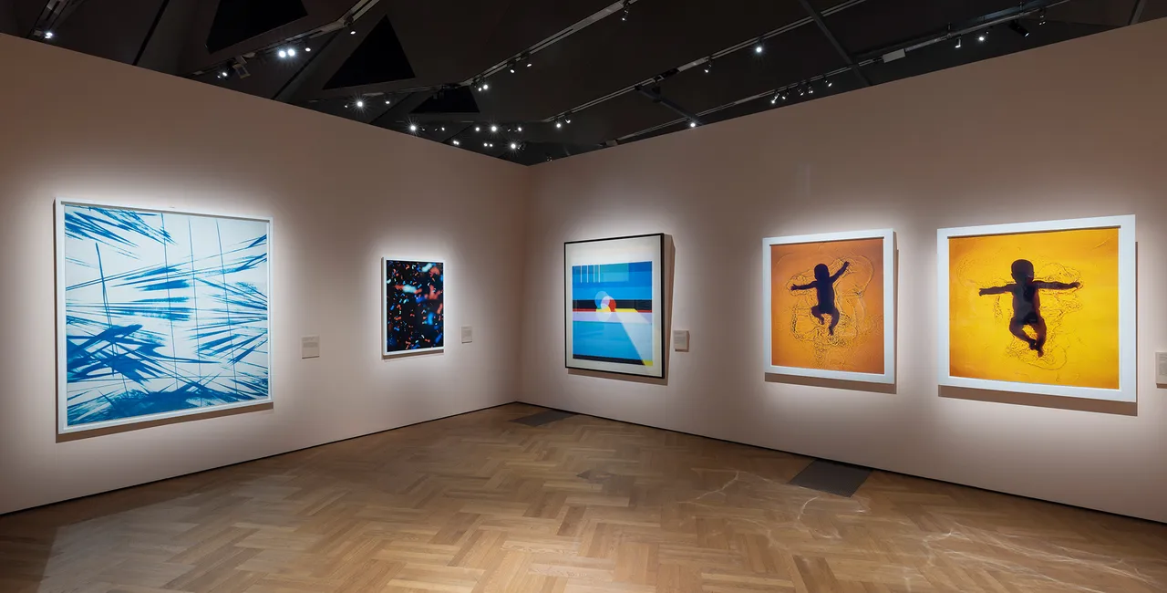 Installation-images-of-'Fragile-Beauty-at-VA-South-Kensington--Victoria-and-Albert-Museum-London-11