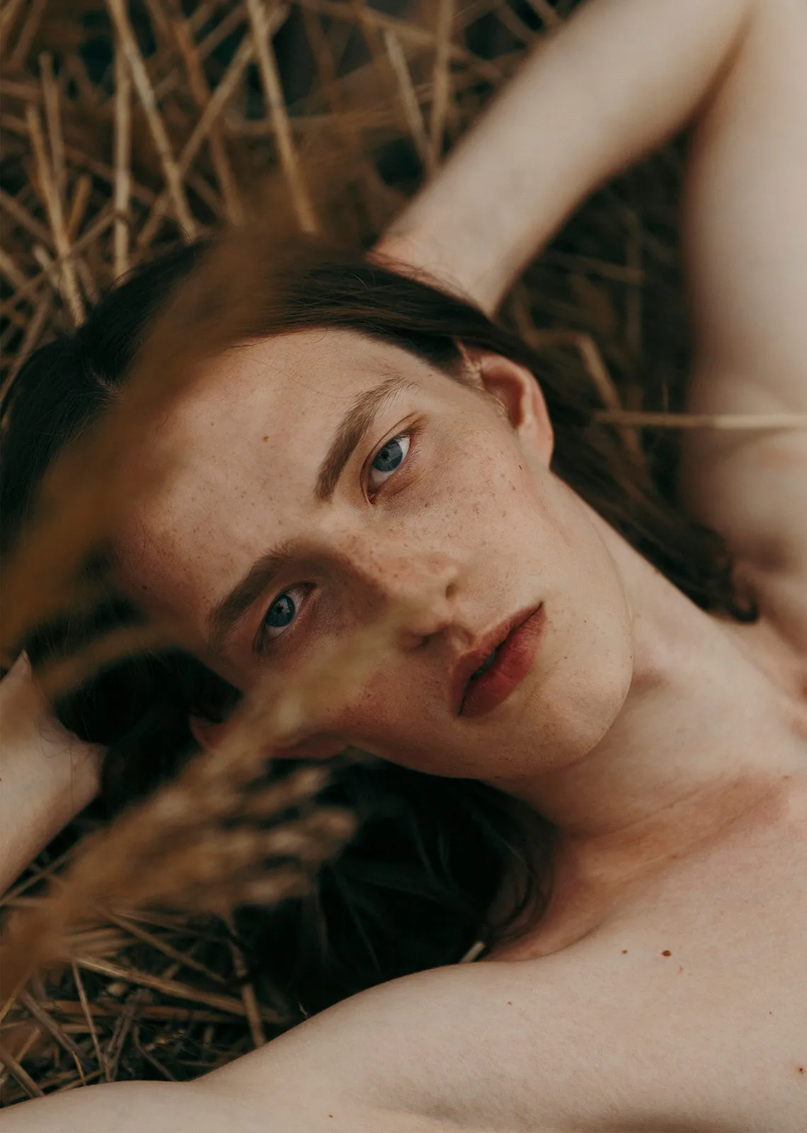 Domedarko Metalmagazine 19