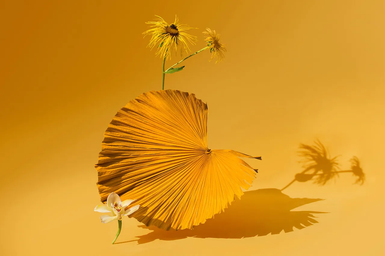 Ikebana Tropical 05 Carolina Mizrahi