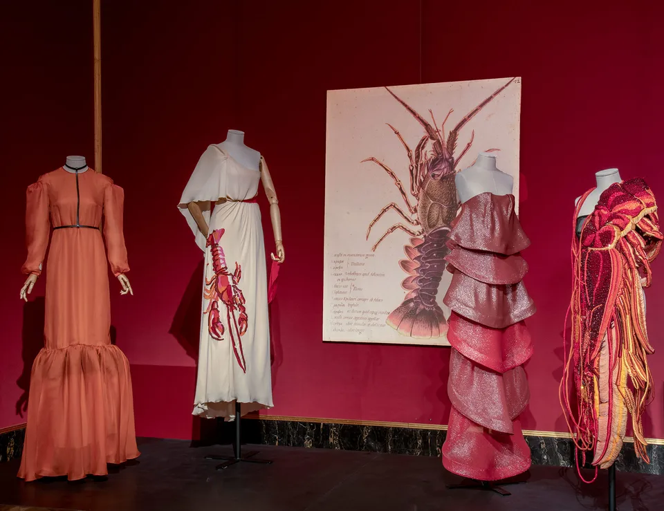 Animalia Fashion
