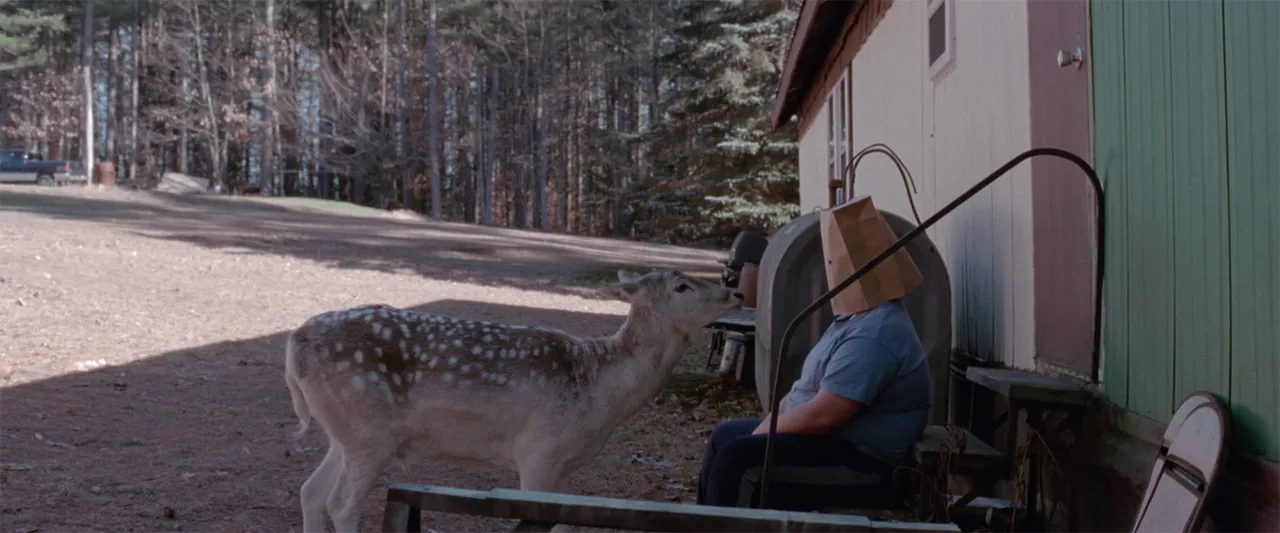 Will Deer