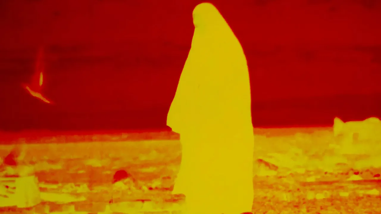 Documenta Madrid 2025