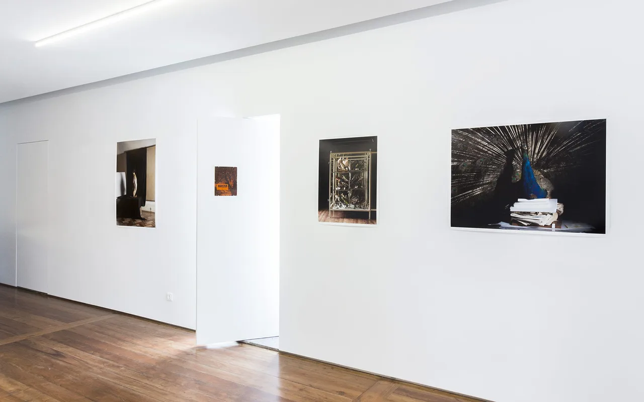 Walk Talk Azores Metalmagazine 16
