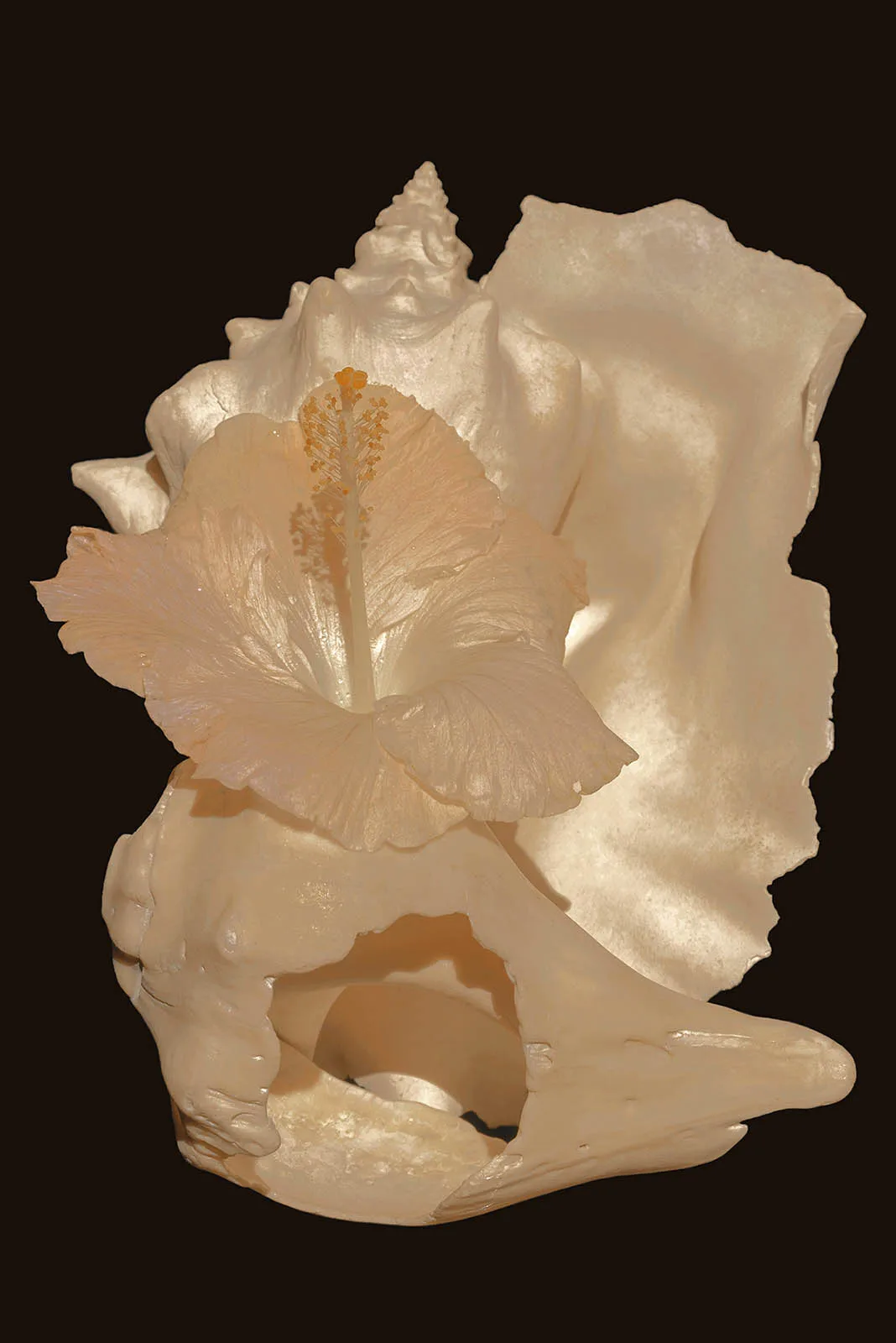 Xuebing-Du_1
