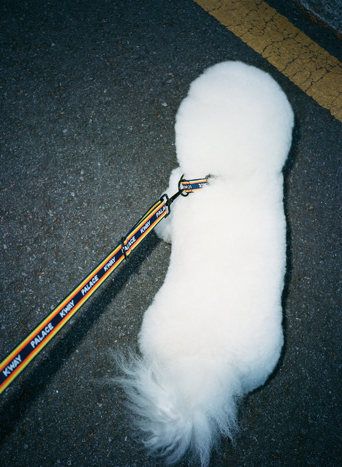 K-Way-x-Palace_07