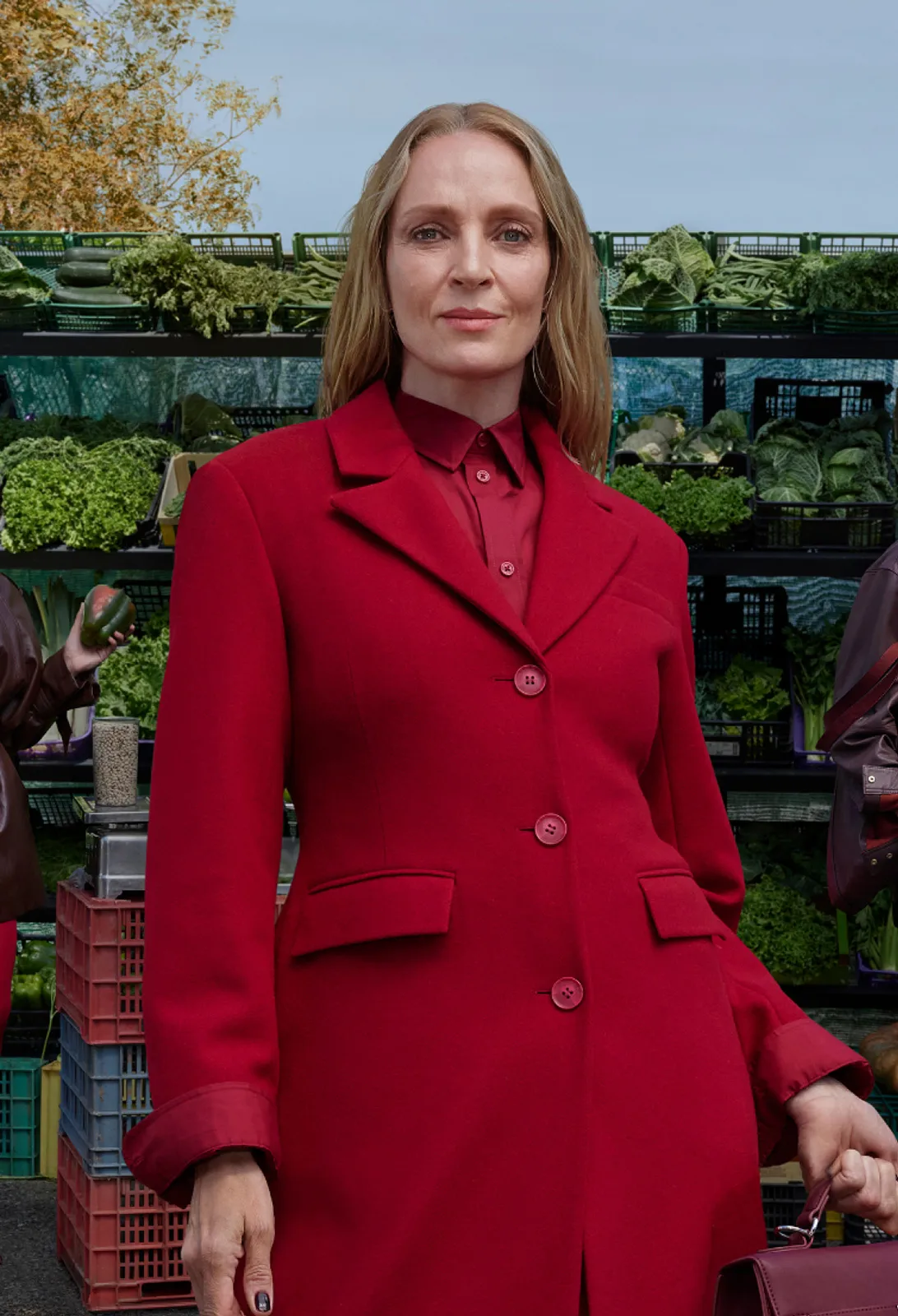 Zalando F/W 2025