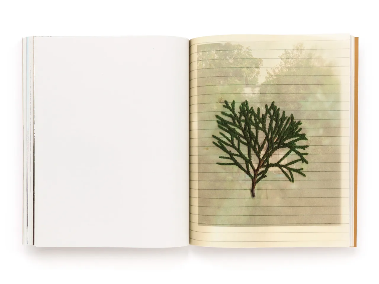 The Tree of Life Is Eternally Green Pascual Y Vincent Metal Magazine 039